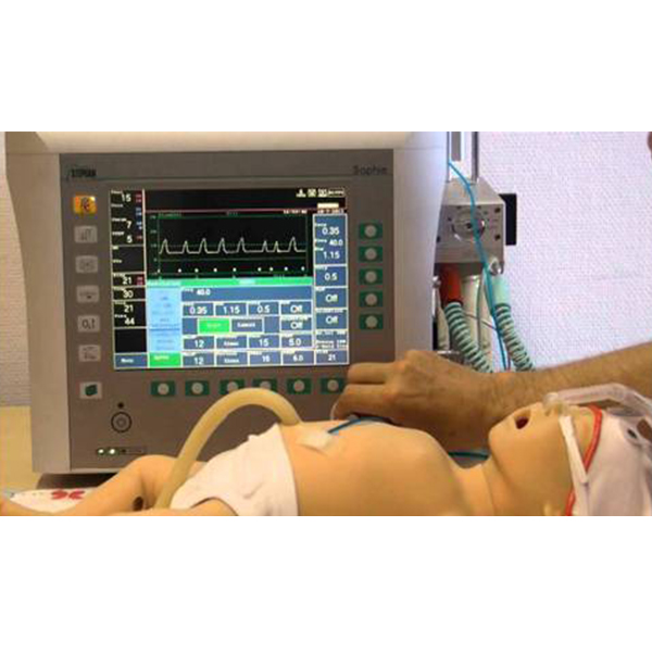 Ventilator support